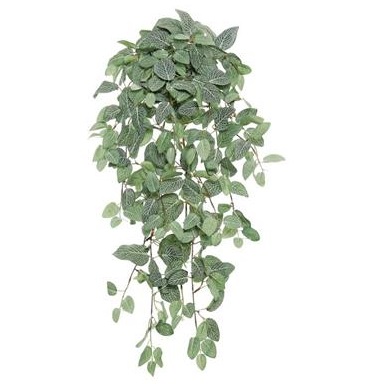 Fittonia Hanging Bush - Greenery & Floral - hanging artificial greenery ideas